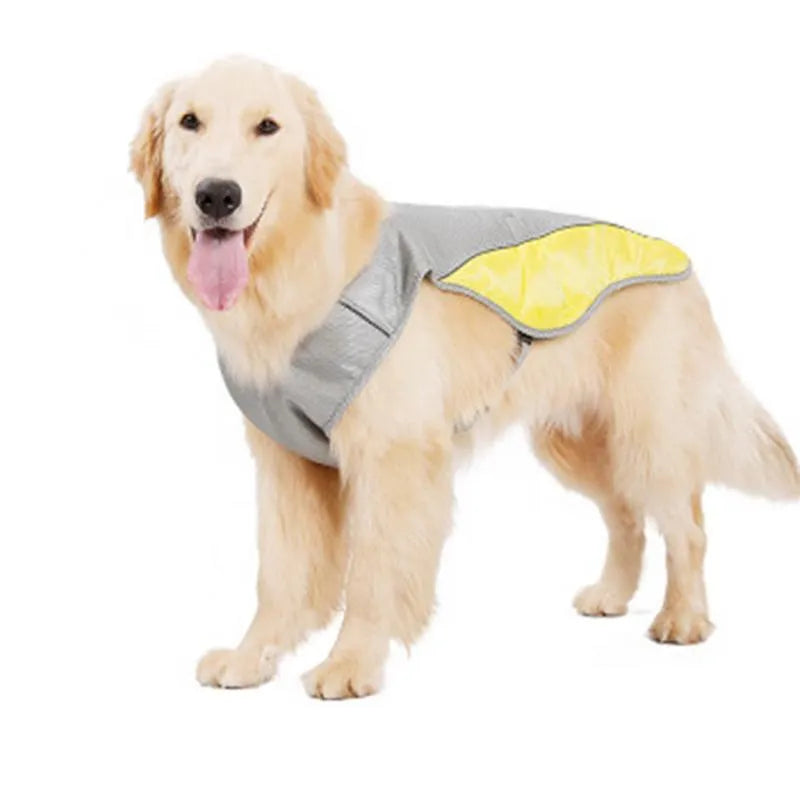 Yellow dog cooling vest with reflective strips on shoulder and back, open back with buckle, on a dog