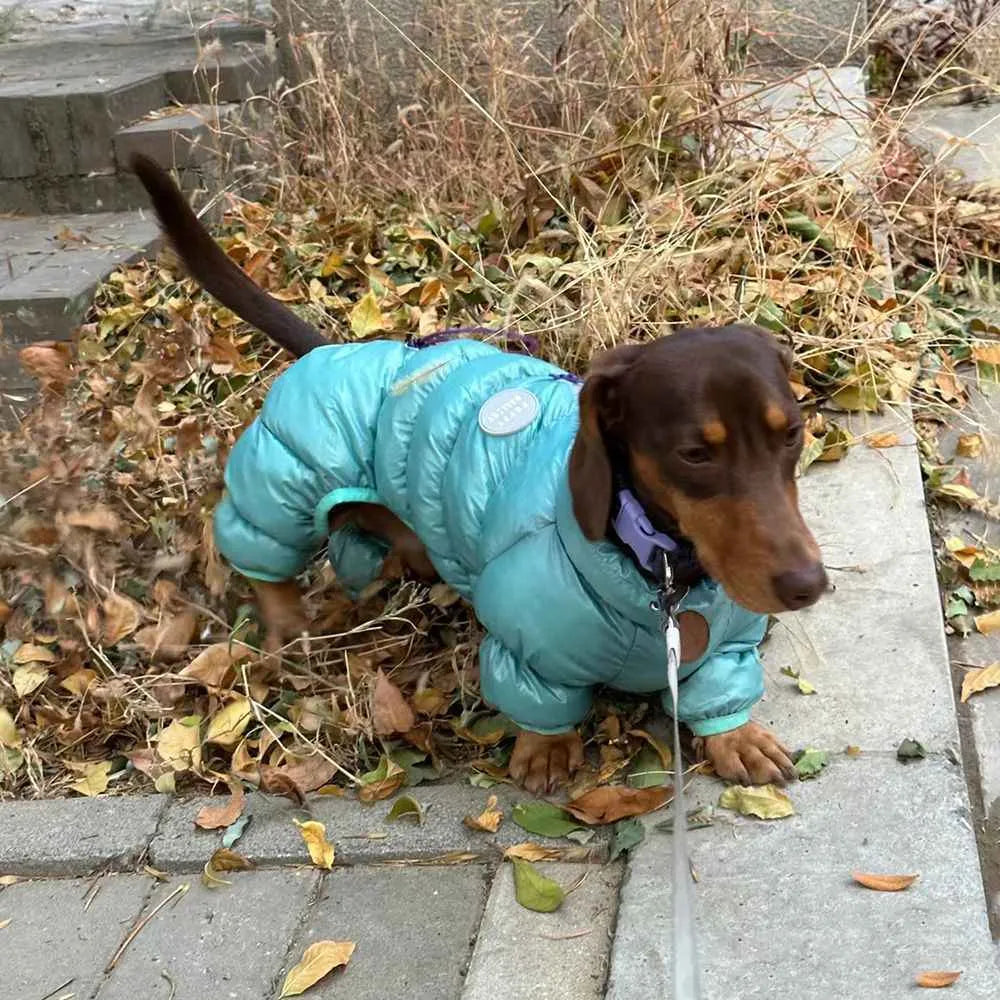 Blue four-legged pet thermal cotton coat with S to XXL size options for autumn and winter