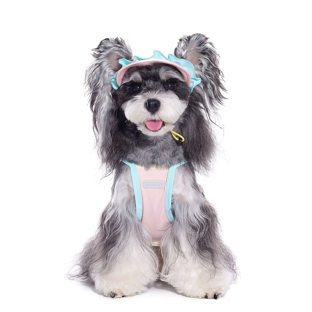 Pink casual summer dog hat with exposed ears for small dogs Bichon Schnauzer nylon spandex