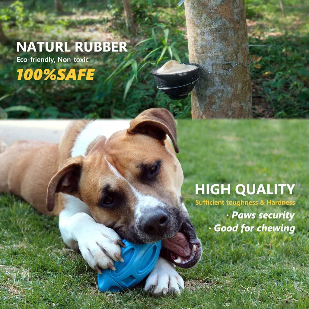 Blue durable natural rubber squeaky dog chew ball toy for aggressive chewers.