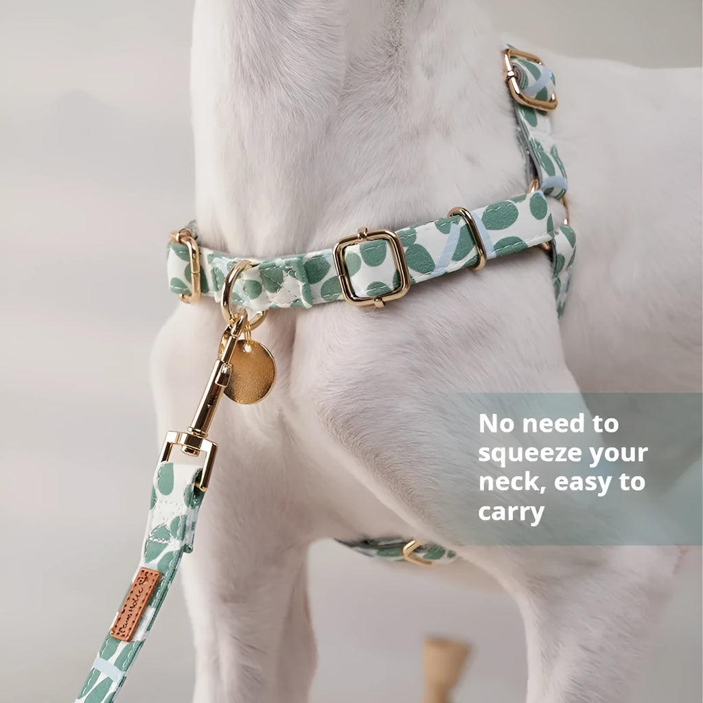 Polyester chest strap for outdoor dog walking with explosion-proof design in loquat tree colour