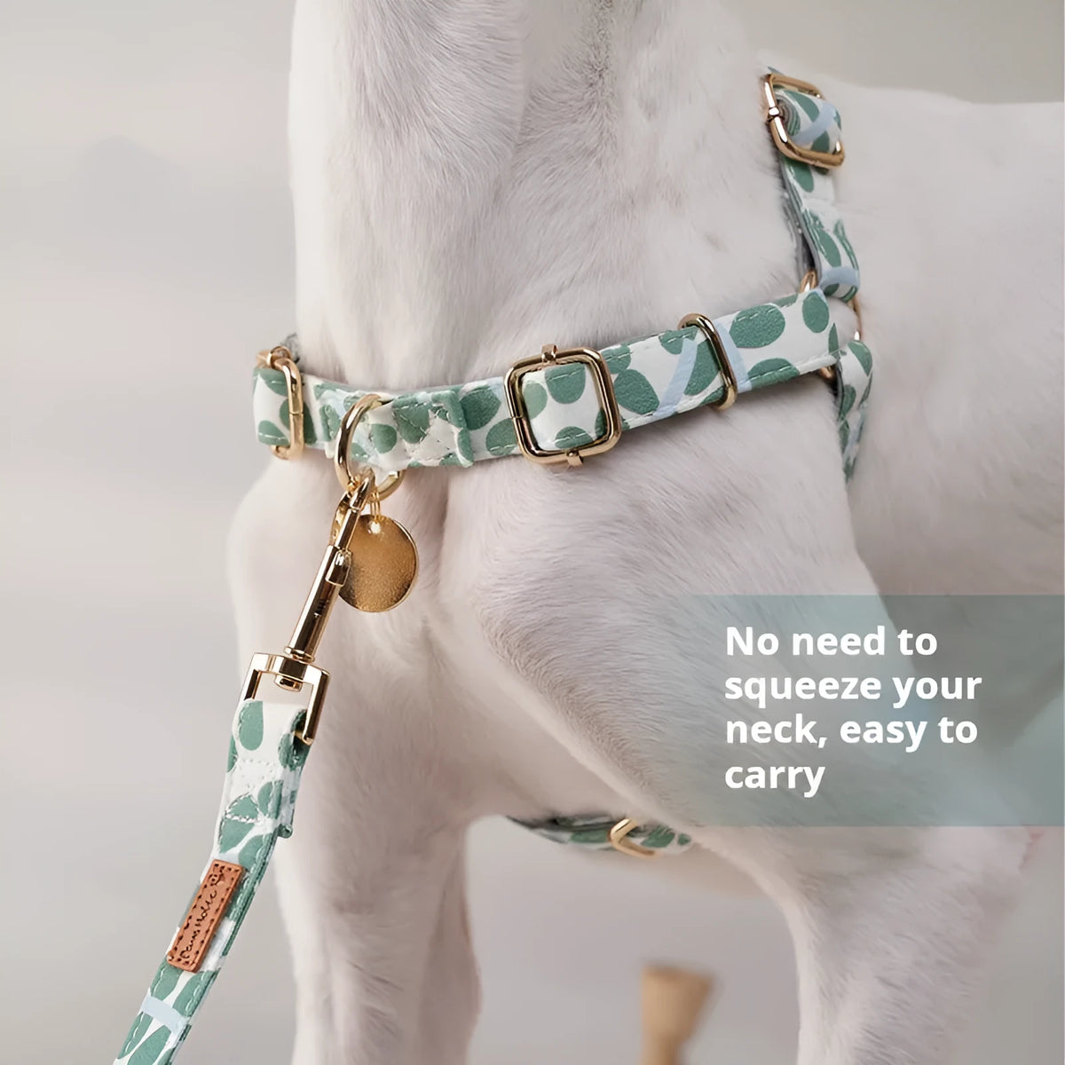 Polyester chest strap for outdoor dog walking with explosion-proof design in loquat tree colour