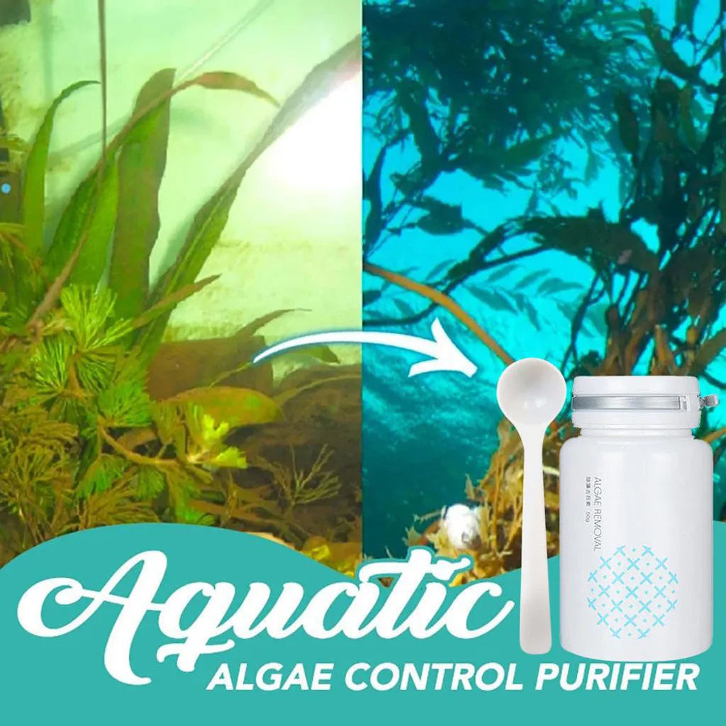 50g algaecide sachet for swimming pool green water and moss removal in aquatic tanks