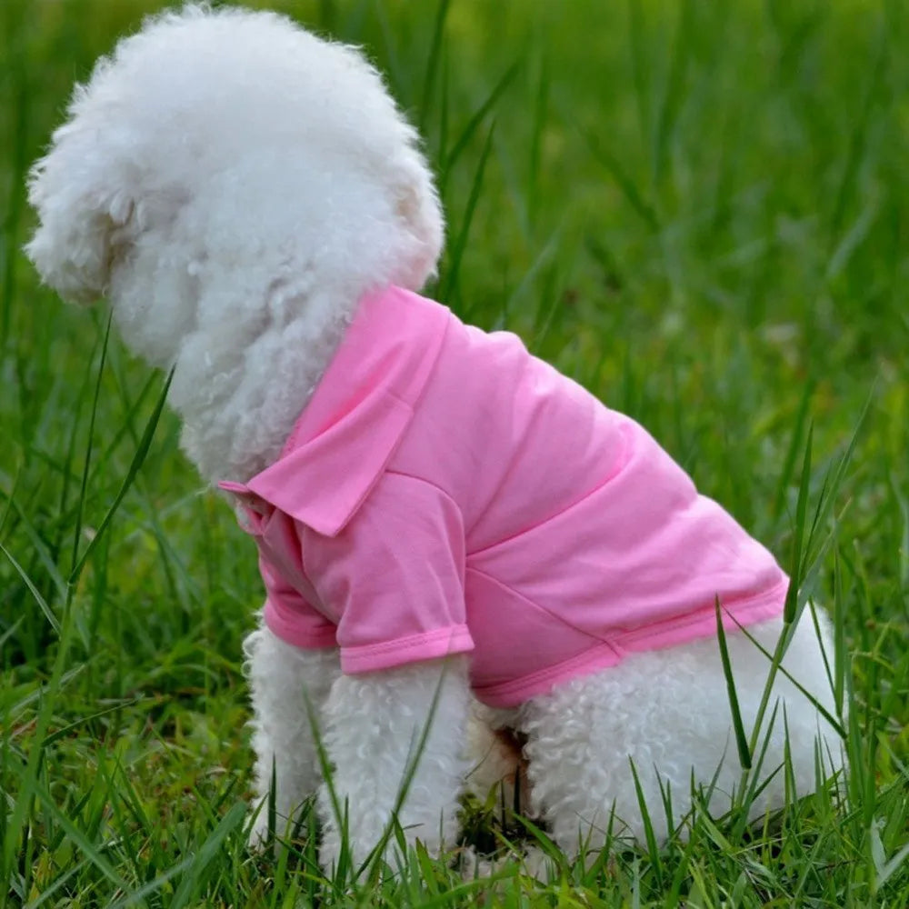 Cotton dog polo shirt with lapel collar in solid blue, available in sizes XS to XL