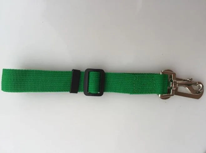Adjustable dog car safety seat belt restraint in orange, 2.5cm width