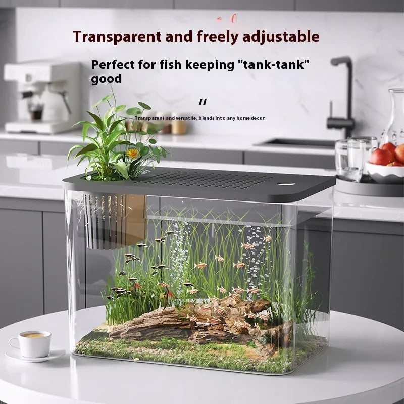 Plastic betta fish tank with cover in medium 32x18.5x23cm size black and white options