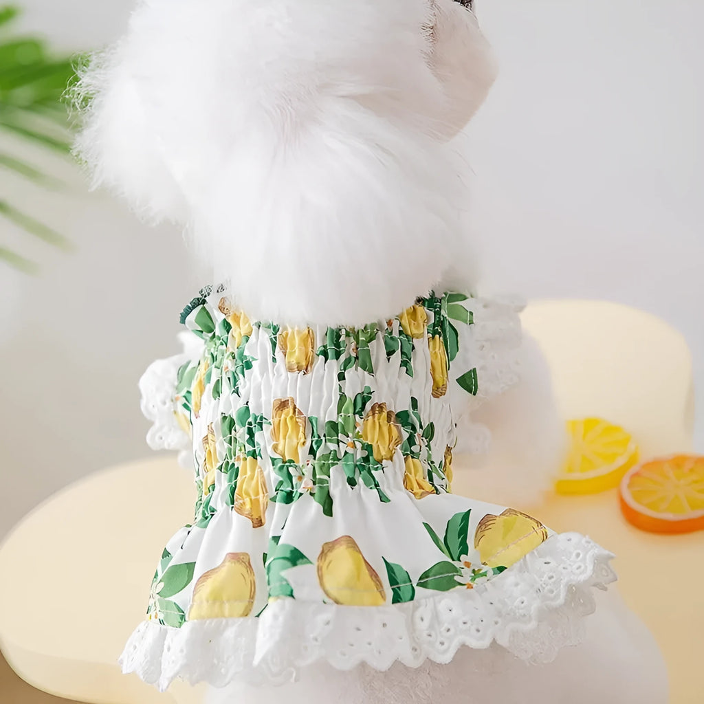 Rock yellow lemon polyester dog dress with thin breathable strap skirt in princess style