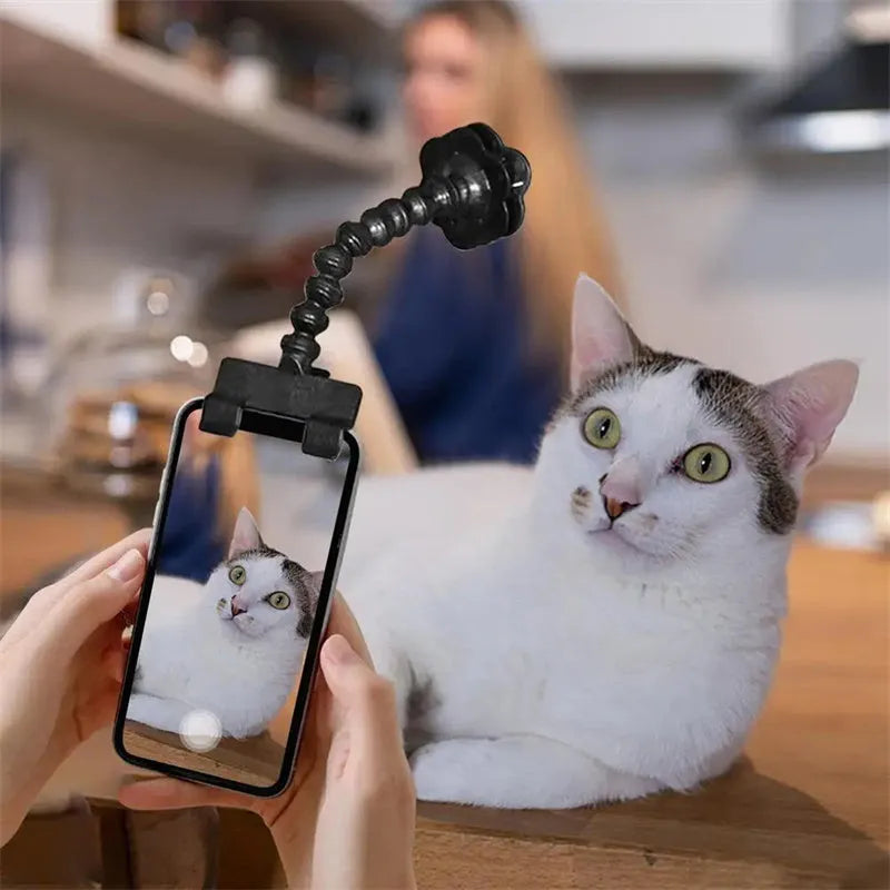 Black plastic pet photography mobile phone holder with treat clip and 360° rotation mechanism