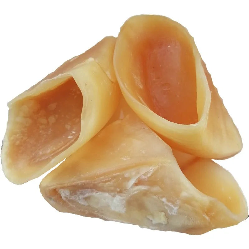 Natural cowhide bovine hoof shell dog chew toy shown in small and large size options.
