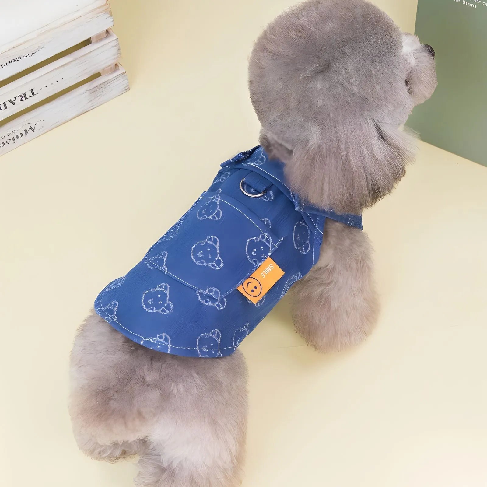 Small white Bichon dog wearing a denim princess dress with bracket skirt design