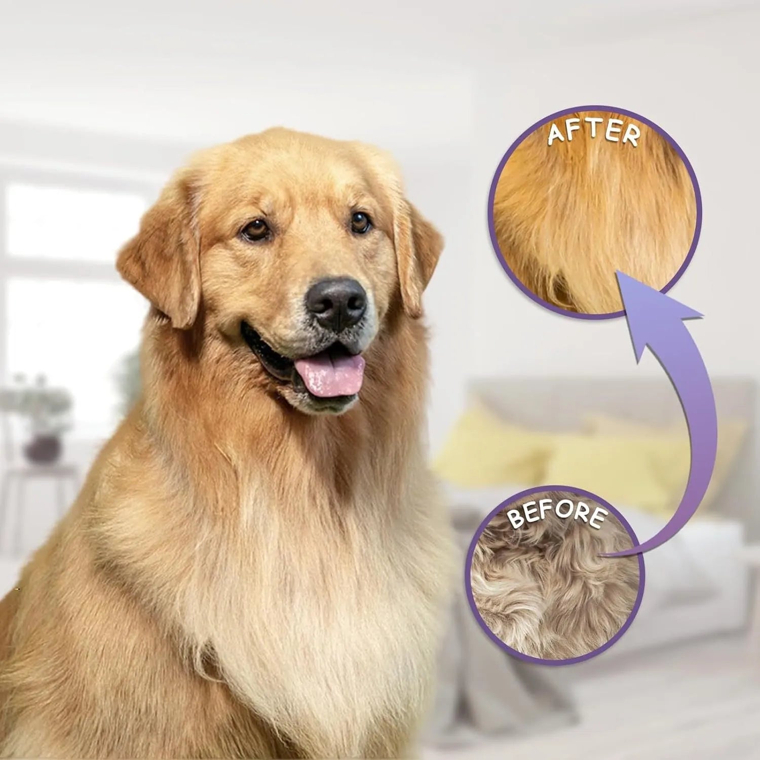 Purple pet detangling comb with stainless steel teeth for dogs and cats on white background