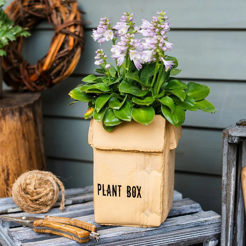 Cement brown paper box flowerpot with drainage holes for indoor balcony planting in Nordic style