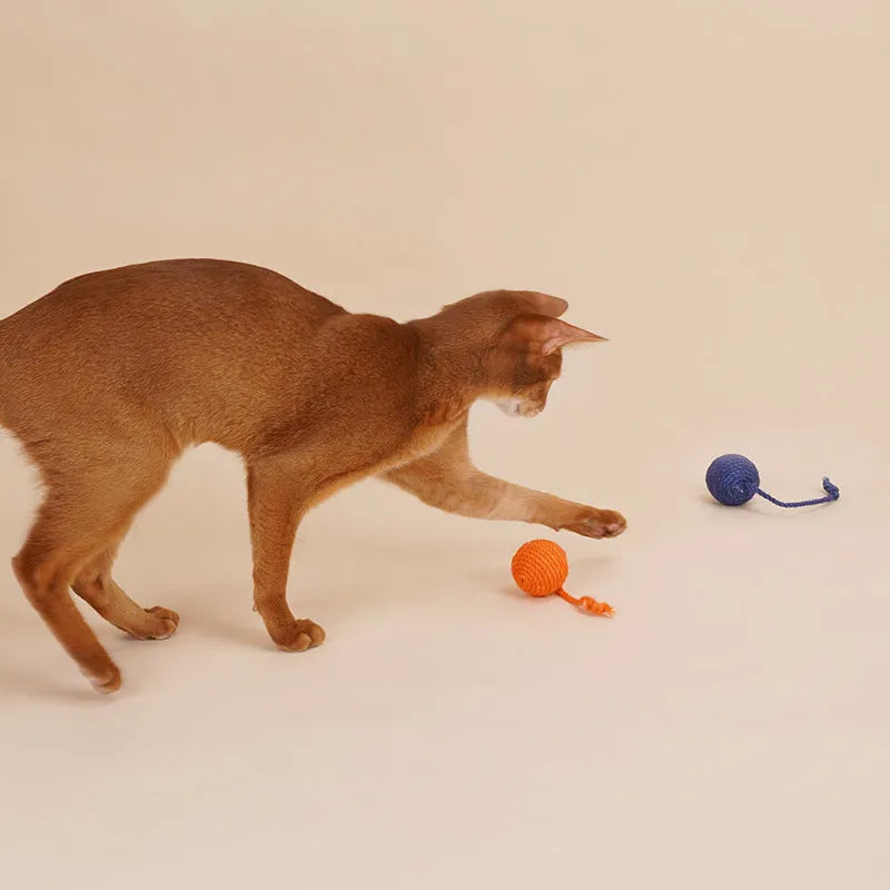 Cat toy set with teaser stick and assorted catnip balls in blue, green, red, yellow colours.