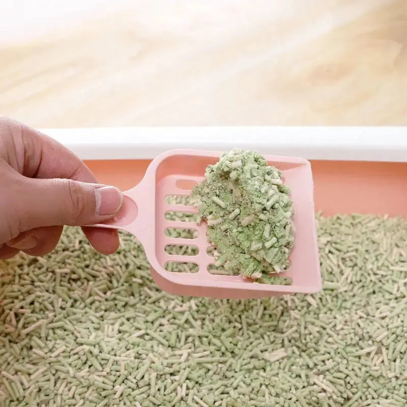 Blue plastic cat litter scoop showing length and sieve pattern for cleaning litter trays.