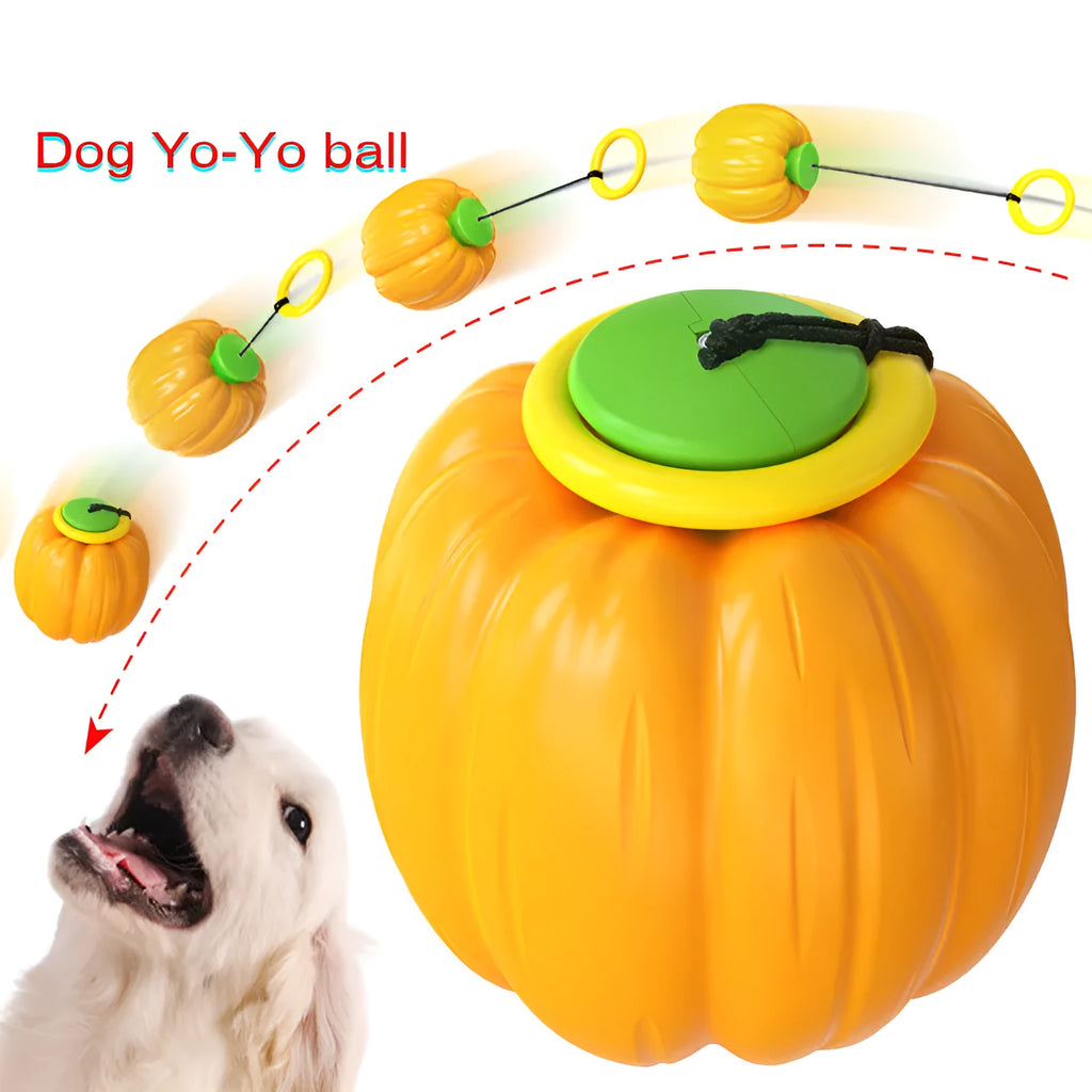 Plastic orange pumpkin-shaped dog chew toy with squeaker for small dogs on a green background.