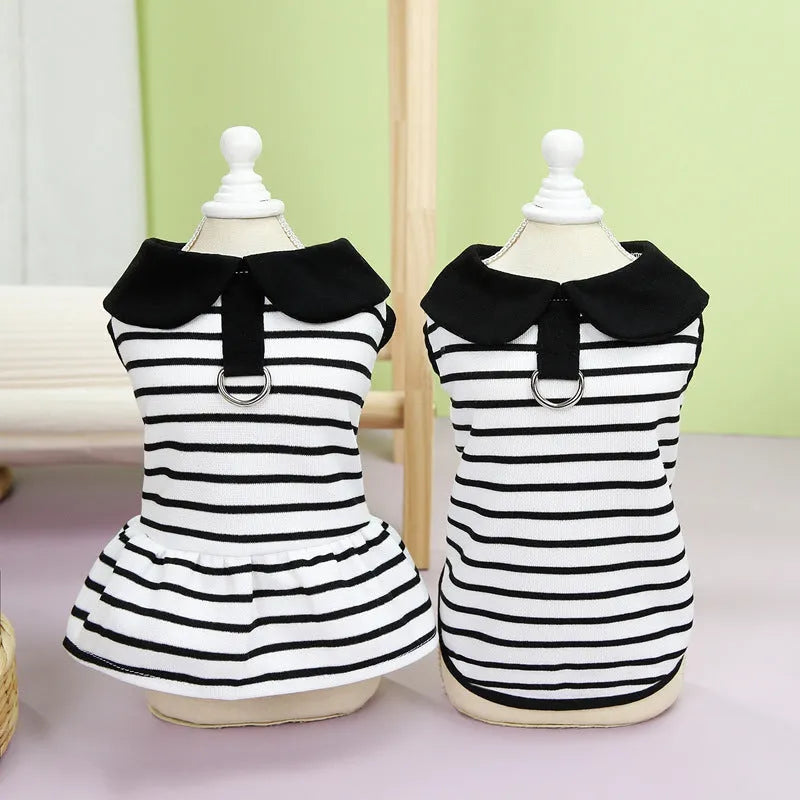 Striped cotton T-shirt and skirt set for pets in summer colours