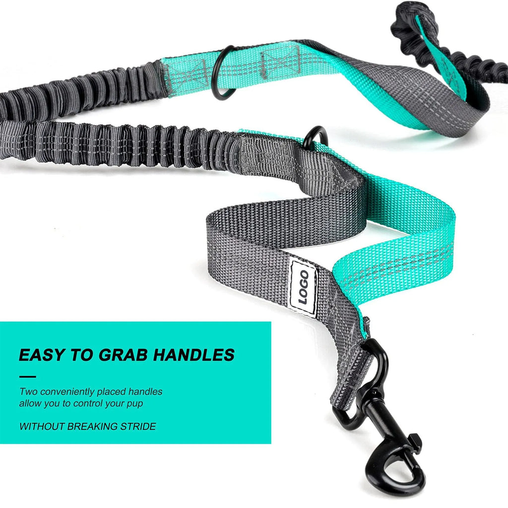 Black nylon outdoor dog walking set with waist bag, leash and collar for waterproof pet training