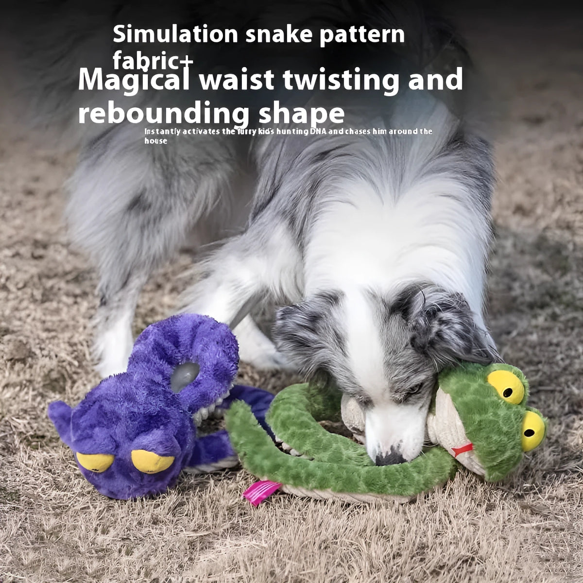 Plush dog molar toy with sound in green or purple, soft chew toy for general dog use