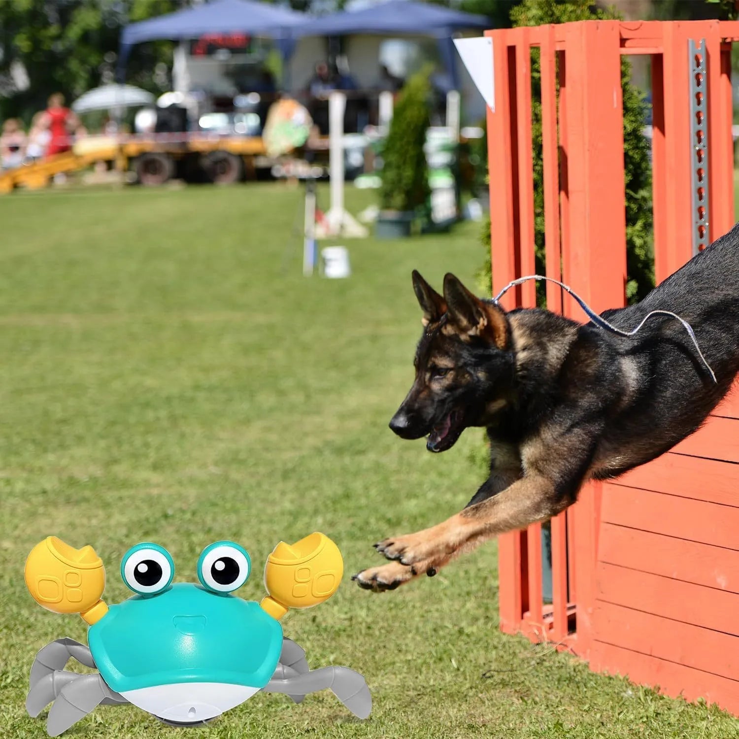 Blue crawling crab dog toy with obstacle avoidance sensors for interactive pet play