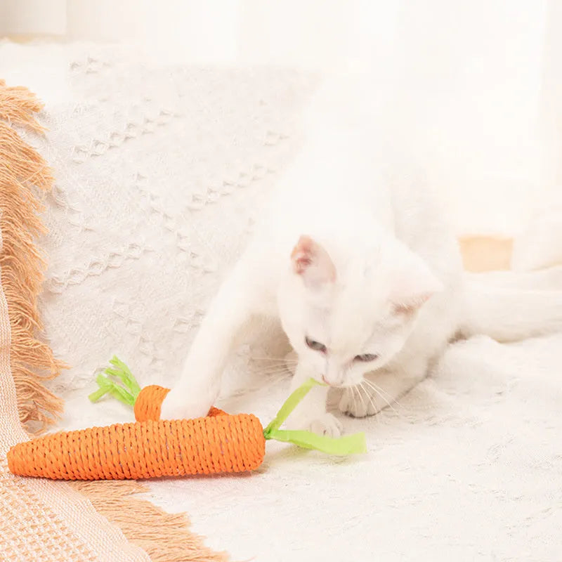 Interactive cat toys set with carrot-shaped bites, paper rolls, ringing stones, feather sticks, and dental grinding sticks