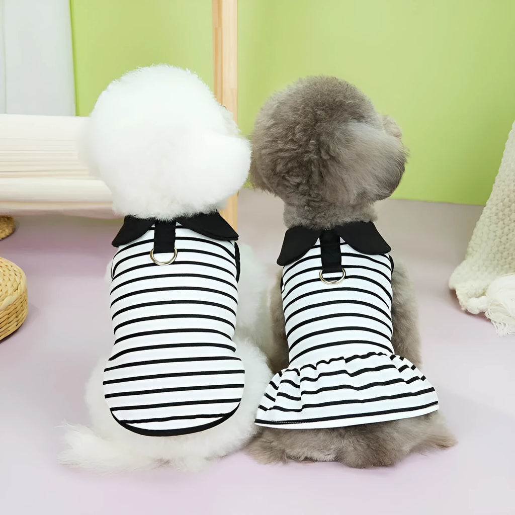 Striped cotton T-shirt and skirt set for pets in summer colours