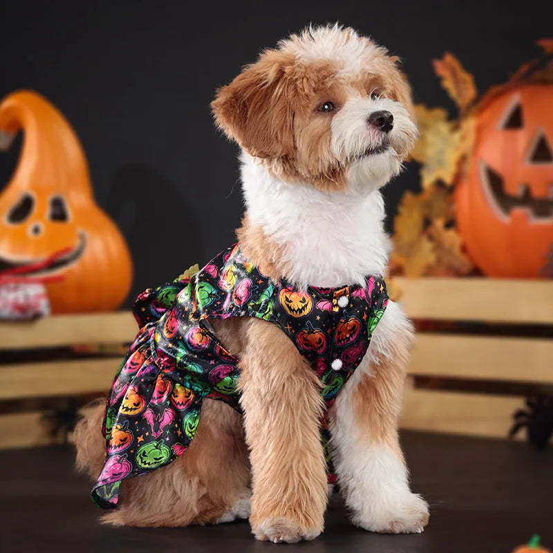 Angel wings Halloween dog costume in bright pumpkin colour with wing design for seasonal pet celebrations