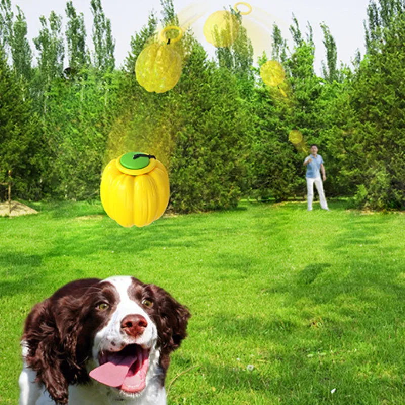 Plastic orange pumpkin-shaped dog chew toy with squeaker for small dogs on a green background.