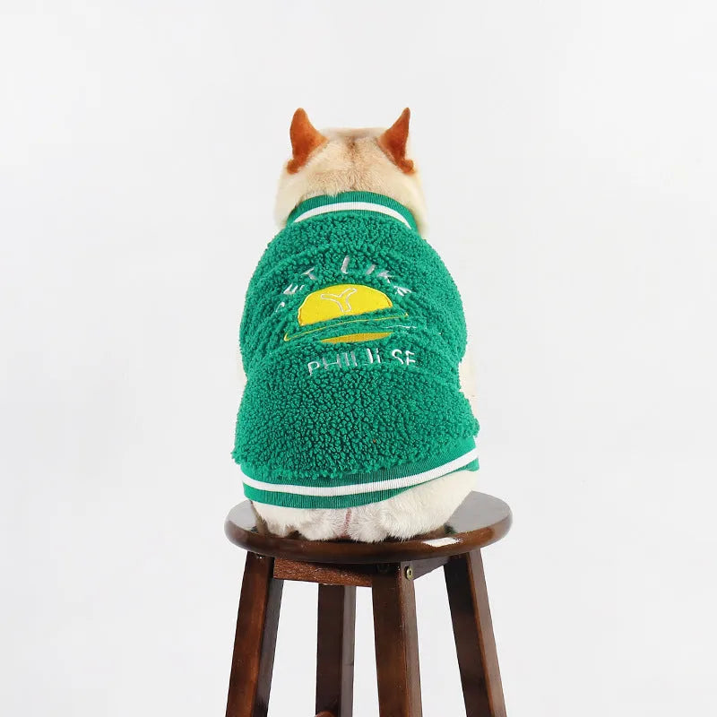 Green fleece-lined dog winter coat shown on model dog
