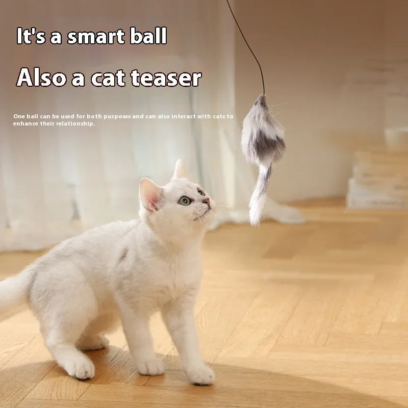 Automatic cat teasing ball with plush mouse in blue orange or dark grey colours