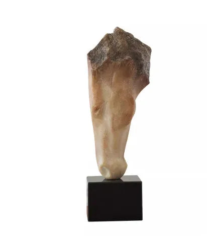 A tall, abstract white horse head sculpture with a carved surface texture on a shelf.