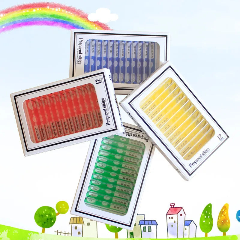 48 plastic microscope slides with colour-coded edges showing plant and animal specimens for children's science education
