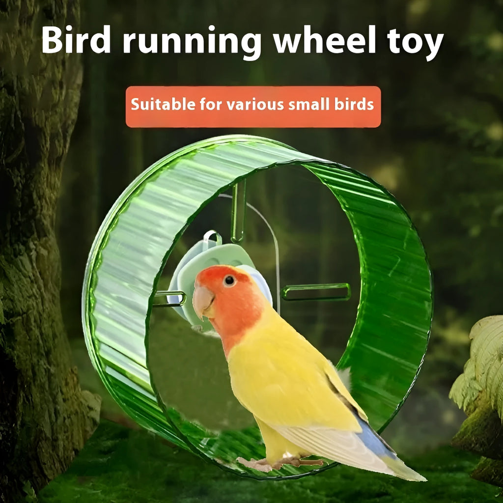 21cm plastic parrot running wheel toy in multiple colour options for bird cage exercise