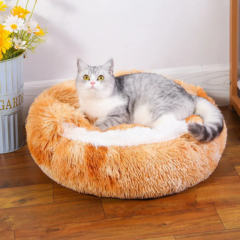 Waterproof dog kennel with semi-surrounded design and warm room in gradient grey colour