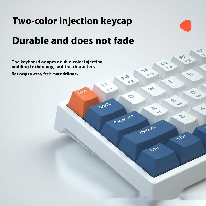 Bluish black 61-key compact mechanical keyboard with hot-swappable sockets and coloured keycaps.