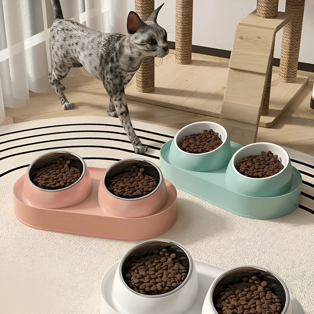 White elevated pet feeder with two tilted bowls on a separate rack, for cats and small dogs.