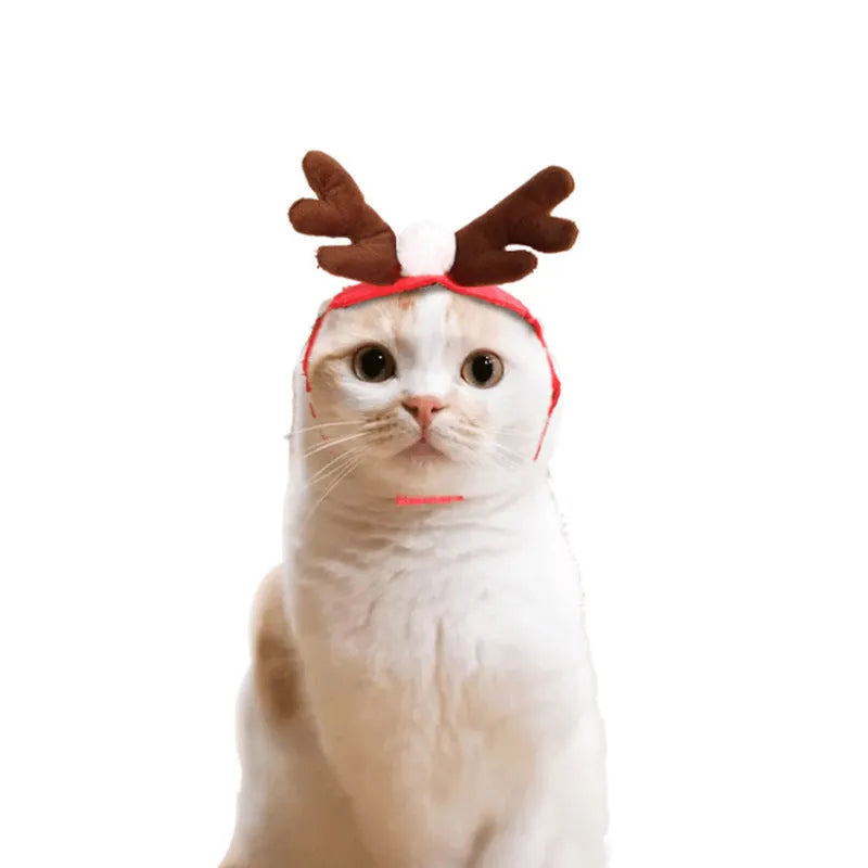 Dog and cat Christmas cloak costume in cloth, S M L and one size, red or green festive pet disguise