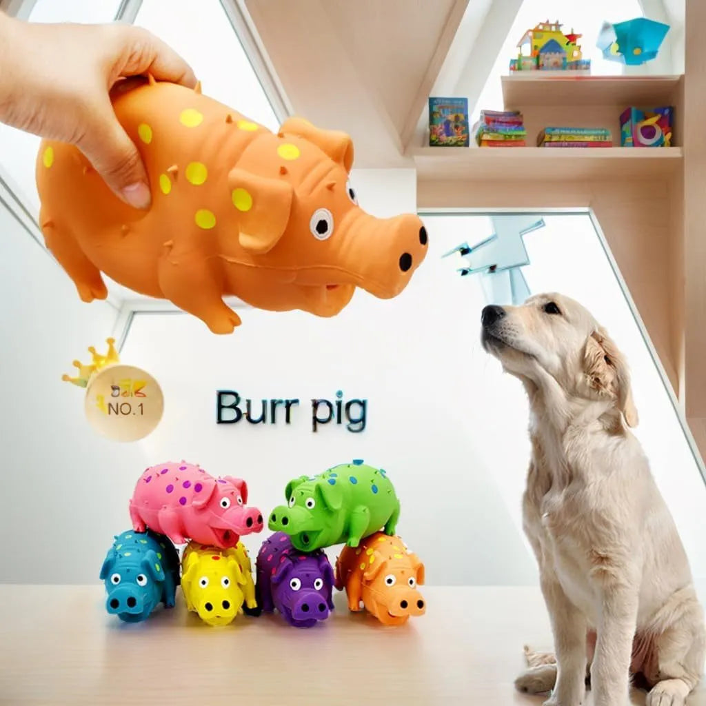 Pig-shaped latex dog chew toy with squeaker in various colours measuring 20x10cm