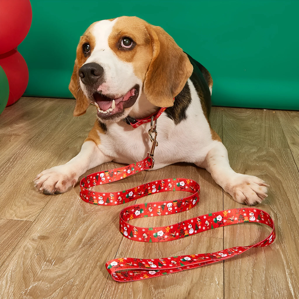 Christmas red polyester dog collar and hand holding rope set on a festive background