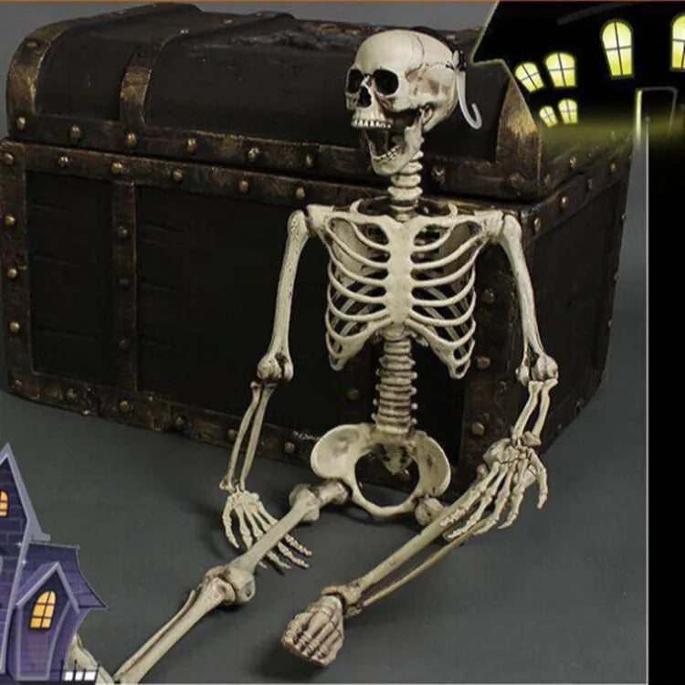 170cm tall plastic skeleton prop with articulated joints and detailed skull