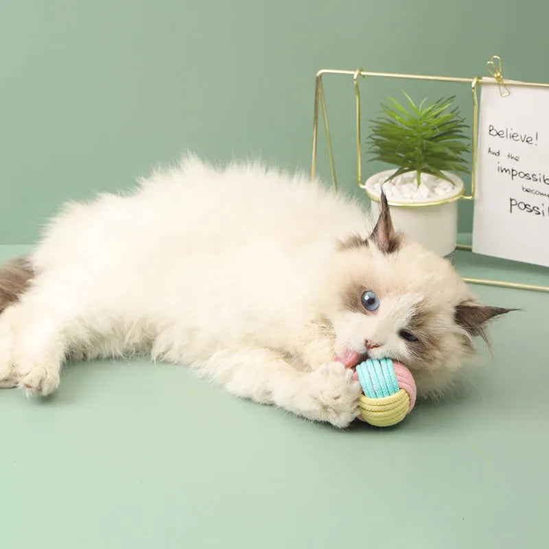 Handmade cat hair ball plush toy with cotton ball texture in blue powder, green blue, and pink green colour options