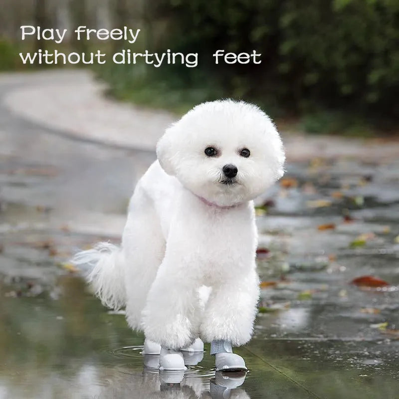 Set of four silicone dog rain boots in Dark Blue, Gray, Light Blue, and Pink, sizes S M L
