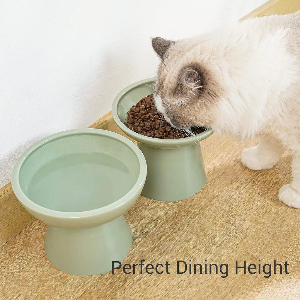 Extra wide elevated ceramic cat food and water bowl set in blue, green, pink, or white