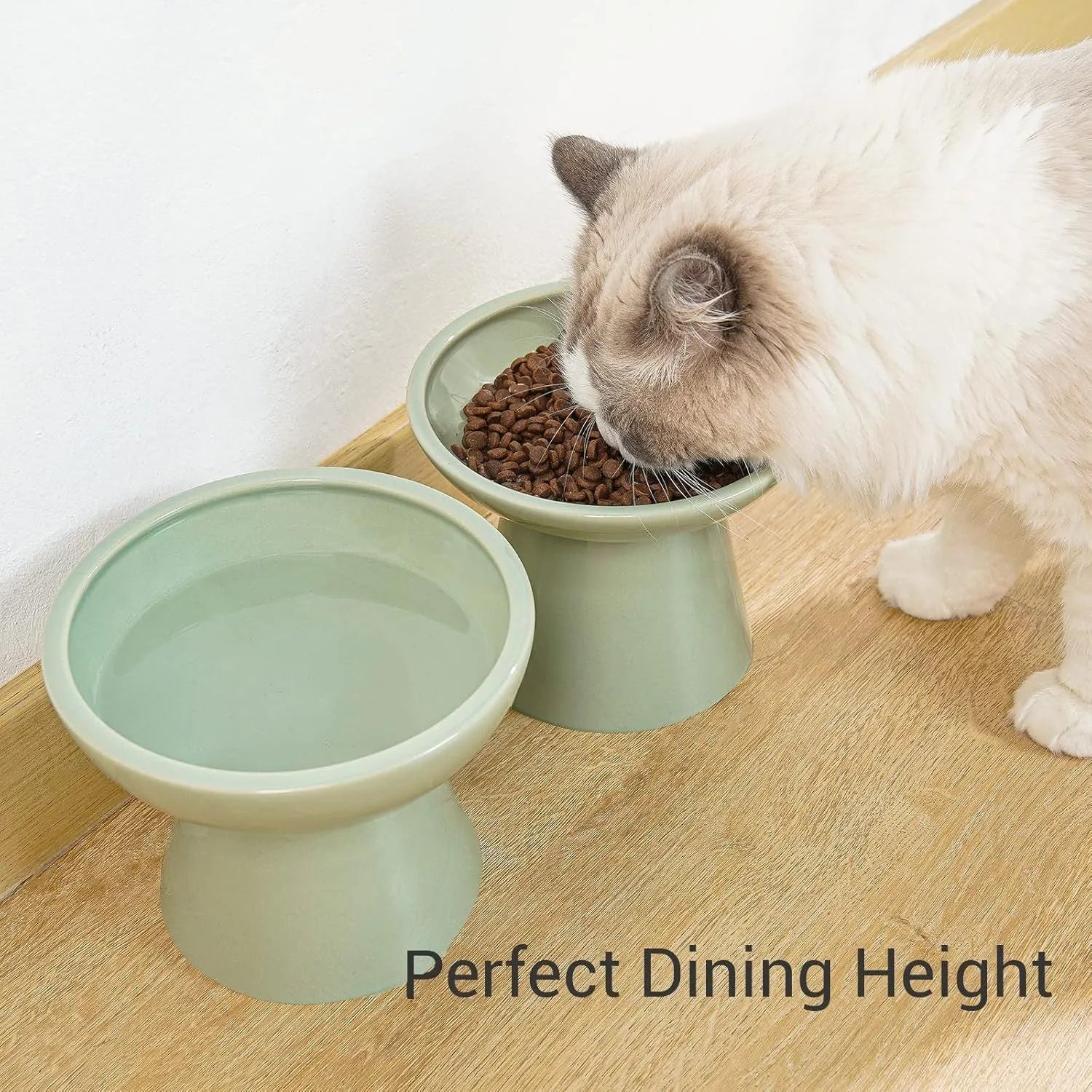 Extra wide elevated ceramic cat food and water bowl set in blue, green, pink, or white