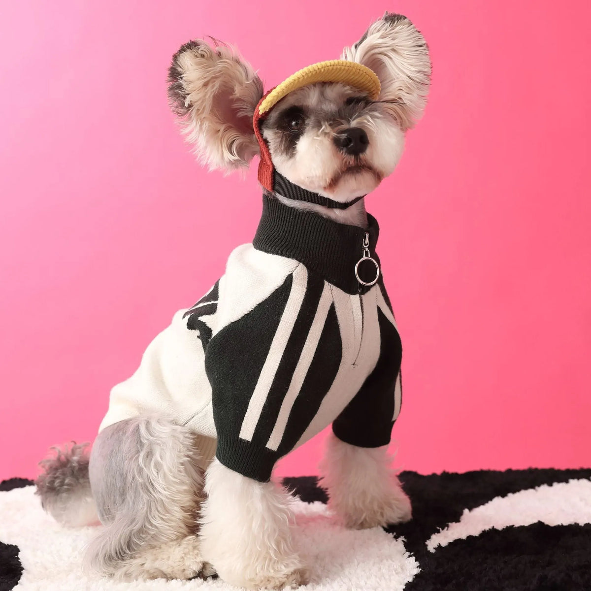 Red wool sports cardigan for dogs on mannequin showing casual pet clothing