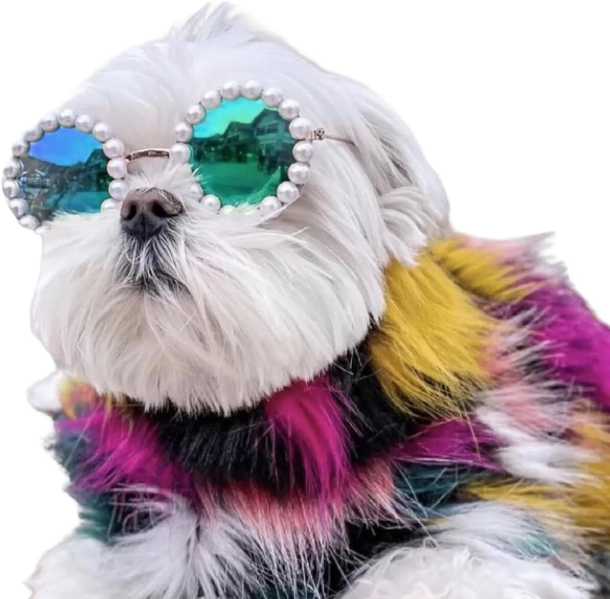 Round pearl-rimmed sunglasses for a dog or cat costume, shown in multiple colours.