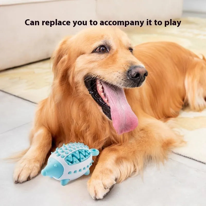 Interactive dog treat chew toy, food-leaking squeaky ball for puppies and large dogs, teeth cleaning, blue green pink