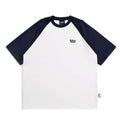 Men's Japanese junior raglan sleeve t-shirt in blue, green and grey colours