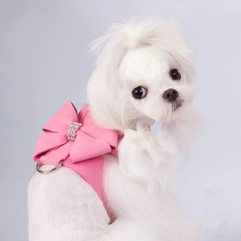 Colourful puppy chest strap with decorative bowknot for small dog harness attachment