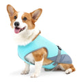 Light grey polyester mesh dog cooling vest for heatstroke prevention with adjustable sizing