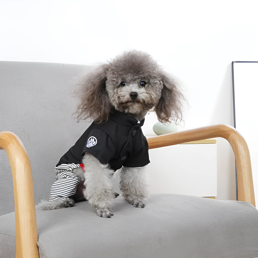 Thin cotton poodle clothes for spring and autumn in skirt and trousers styles